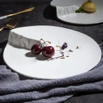 Assiette japonaise contemporaine en céramique élégante