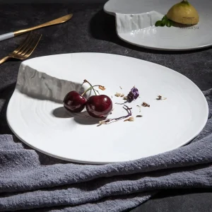 Assiette japonaise contemporaine en céramique élégante