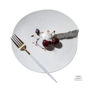 Assiette contemporaine idéale pour la cuisine asiatique