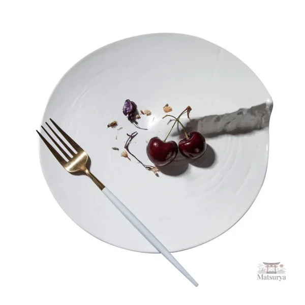Assiette contemporaine idéale pour la cuisine asiatique