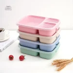 Boîte repas Bento avec couvercle sécurisé