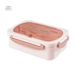 Pratique boîte bento pour déjeuner au micro-ondes