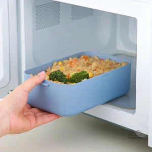 Boîte Bento avec compartiments pratiques