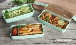 Conteneur alimentaire Bento pour déjeuner