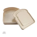 Boîte Bento Sandwich colorée et fonctionnelle