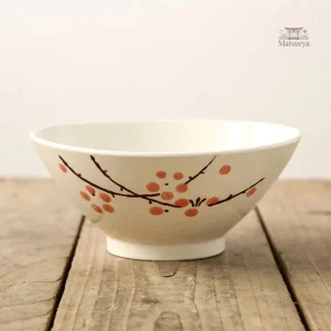 Bol à nouilles en porcelaine pour cuisine japonaise
