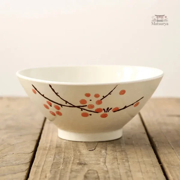 Bol à nouilles en porcelaine pour cuisine japonaise
