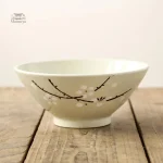 Bol japonais pour plat de nouilles savoureux