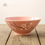 Bol à nouilles design pour table japonaise