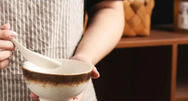 Bol en Grès japonais traditionnel, parfait pour la cuisine