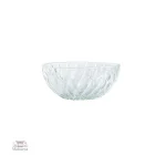 Design raffiné du bol japonais en verre