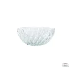 Élégant bol en verre pour cuisine asiatique