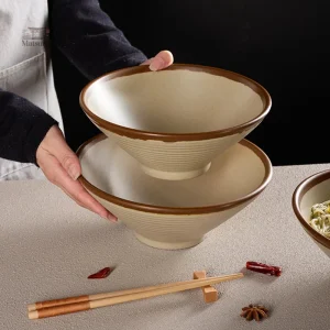 Bol élégant en mélamine pour repas japonais