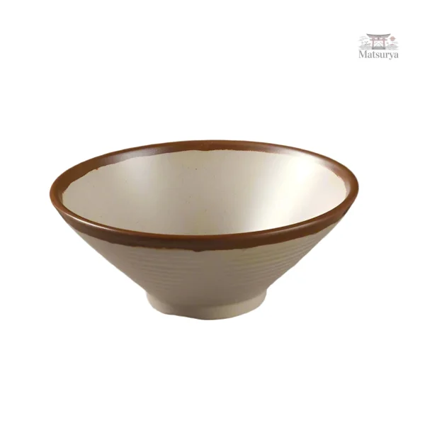 Bol moderne en mélamine pour cuisine japonaise