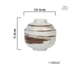 Bol en porcelaine pour repas japonais savoureux