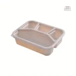 Box Bento colorée pour le déjeuner scolaire