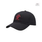 Accessoire mode : casquette japonaise originale