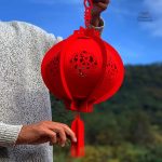 Grande Lanterne Japonaise décorative
