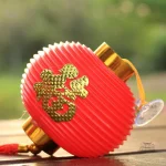 Guirlande Lanterne Japonaise colorée pour décoration intérieure