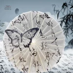Ombrelle Japonaise Papillon élégante et colorée