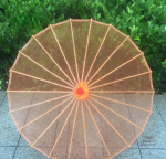 Ombrelle traditionnelle japonaise en transparence