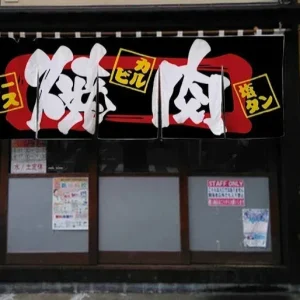 Rideau japonais élégant pour ambiance de restaurant