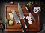 Couteaux japonais professionnels, ensemble de coupe élégant