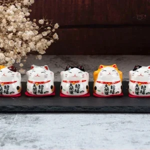 Set porte bonheur maneki neko en céramique colorée