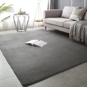 Tapis de salon Japonais, design velours corail