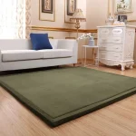 Tapis japonais moderne pour un salon contemporain