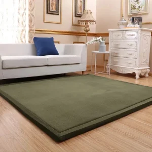 Tapis japonais moderne pour un salon contemporain