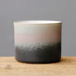 Tasse japonaise traditionnelle pour savourer le thé