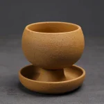 Tasse japonaise décorative avec soucoupe