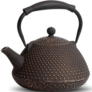 Tetsubin, accessoire de vaisselle japonaise classique