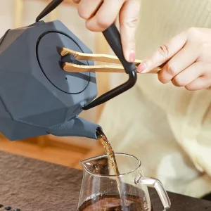 Théière moderne au style japonais élégant pour le thé