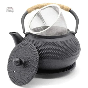 Théière japonaise pour infusion de thé