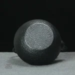 Théière japonaise pour préparation de thé traditionnel