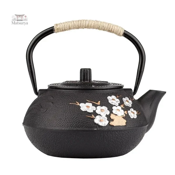 Théière japonaise au design contemporain unique