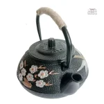 Théière artisanale pour amateurs de thé japonais
