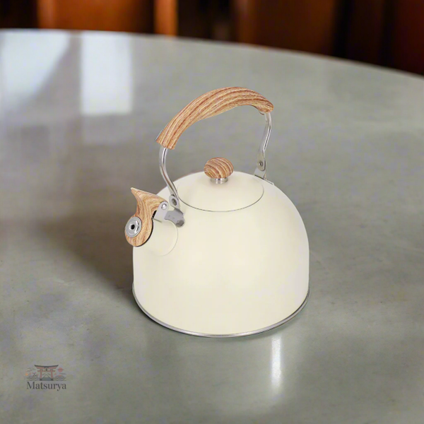 Théière Japonaise au design contemporain et épuré