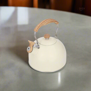 Théière en céramique japonaise, style moderne