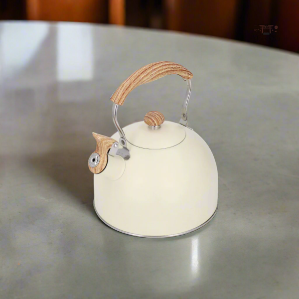 Théière en céramique japonaise, style moderne