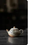 Théière artisanale en porcelaine du Japon