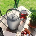 Théière japonaise, parfaite pour les amateurs de thé