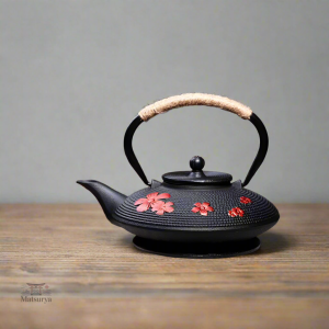 Théière traditionnelle japonaise pour cérémonie du thé