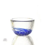 Verres à saké japonais, ensemble de couleurs éclatantes